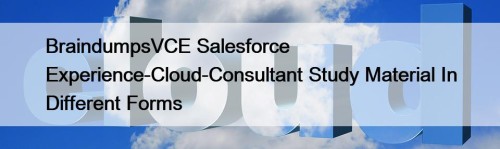 BraindumpsVCE Salesforce Experience-Cloud-Consultant Study Material In Different Forms